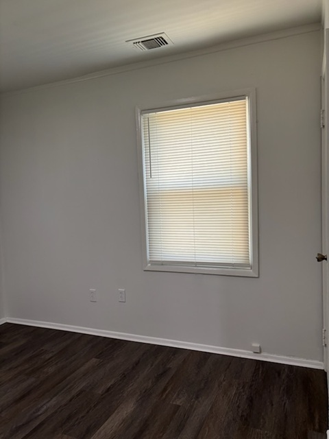 Gallery Photo 18